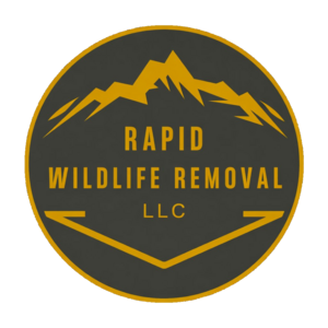 Rapid Wildlife Removal LLC