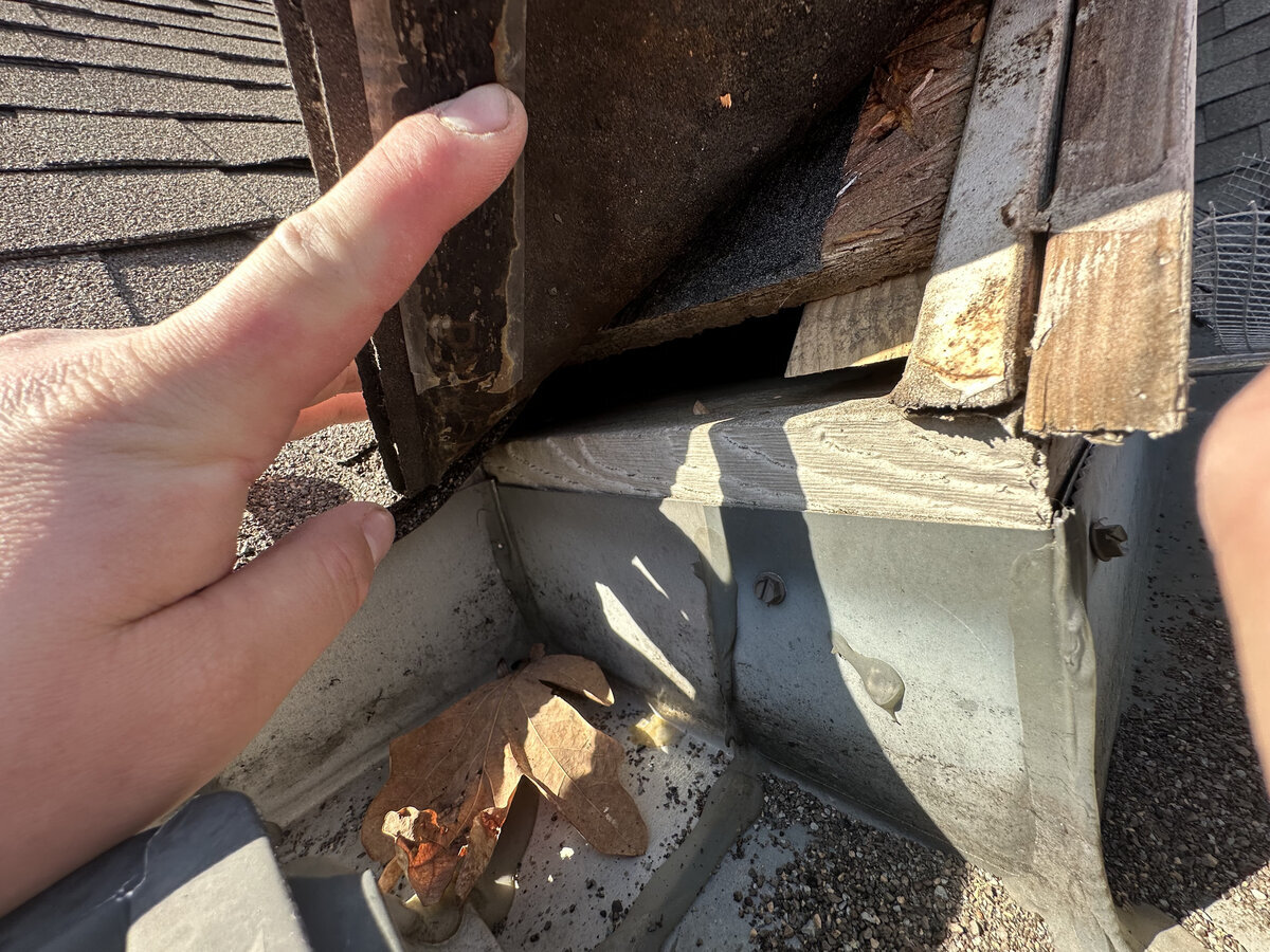 Close-up of wildlife entry point