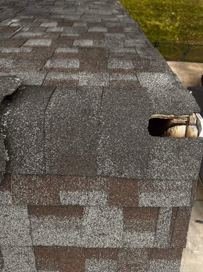 Animal entry hole in roof ridge of Apex NC home