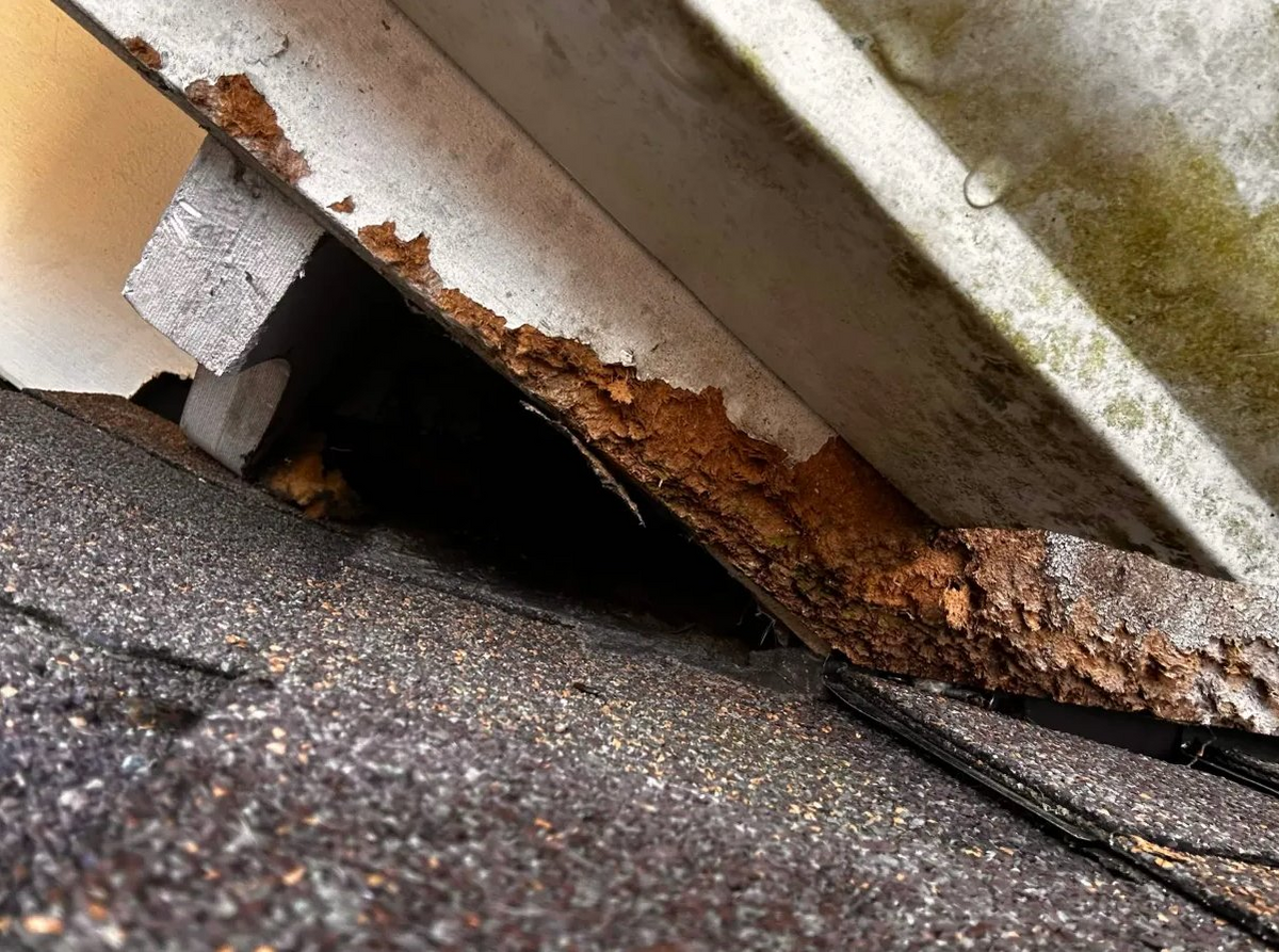 Rotted fascia from wildlife entry damage