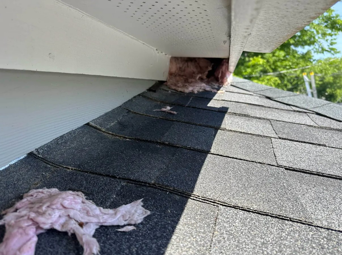 Soffit gap with insulation pulled out by wildlife