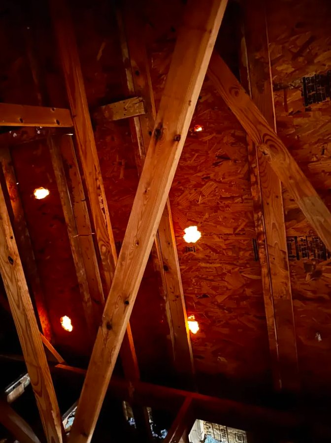 Daylight visible through squirrel chew holes in roof